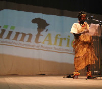 2ème Édition du festival Fiimt’Africa